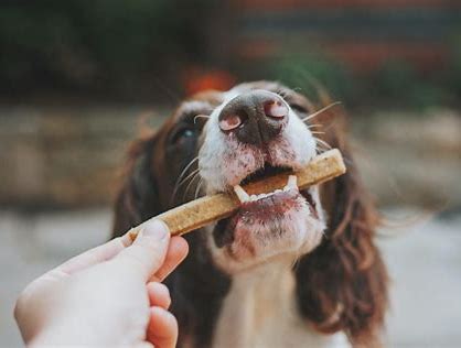 Mastications pour Chien - Friandises à Mâcher Naturelles