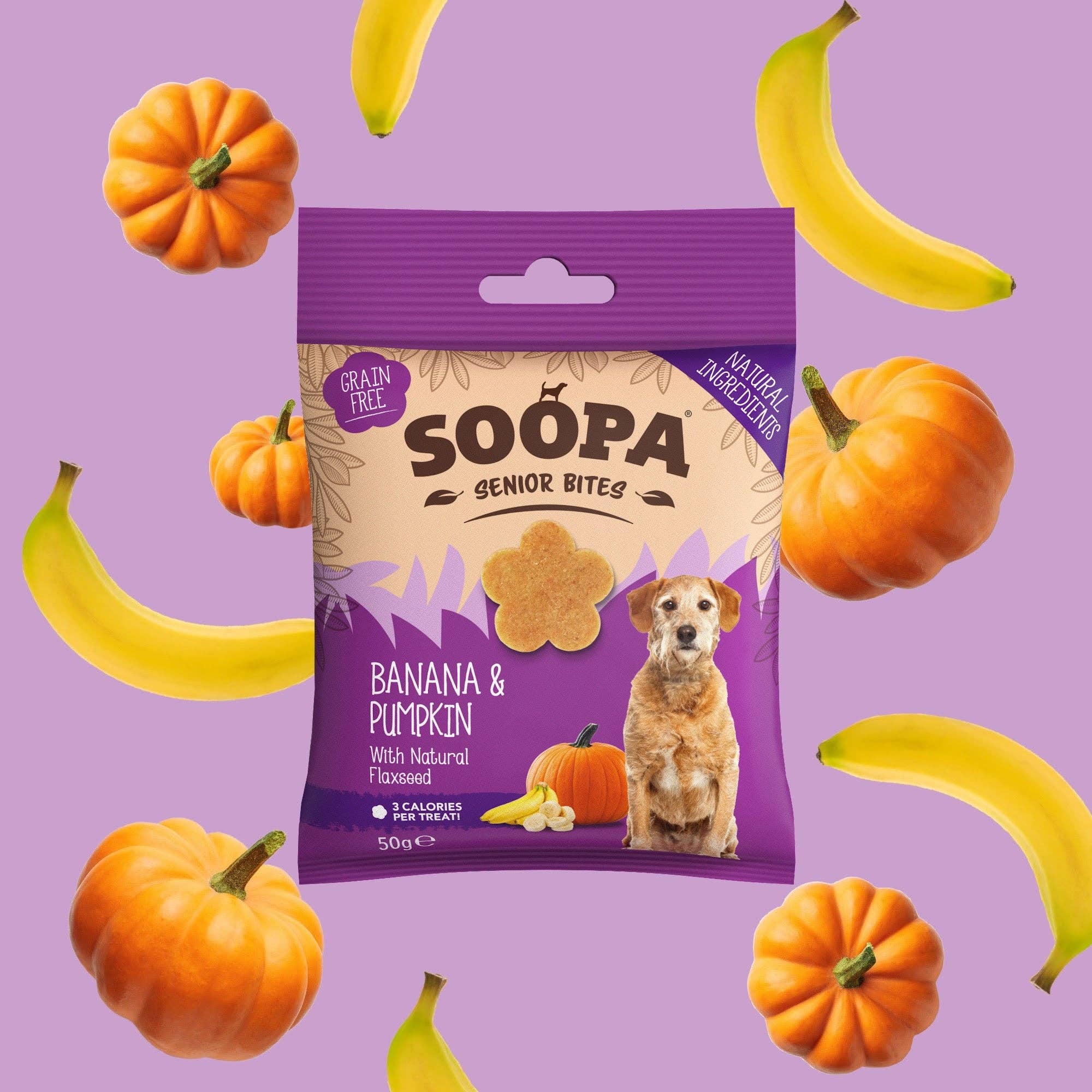 Friandises pour chiens senior (banane, citrouille et graines de lin)