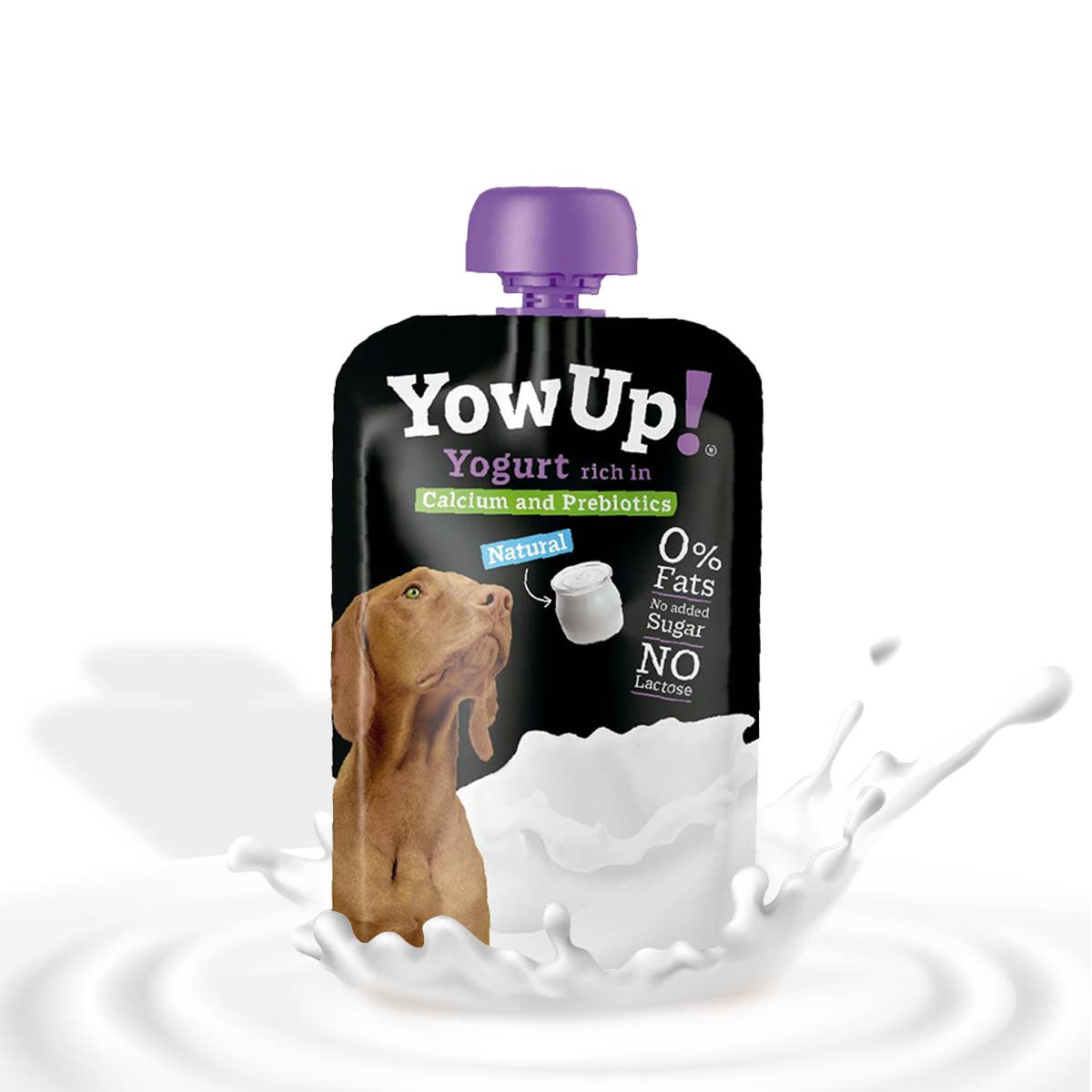 Yaourt naturel pour chien - Prébiotique
