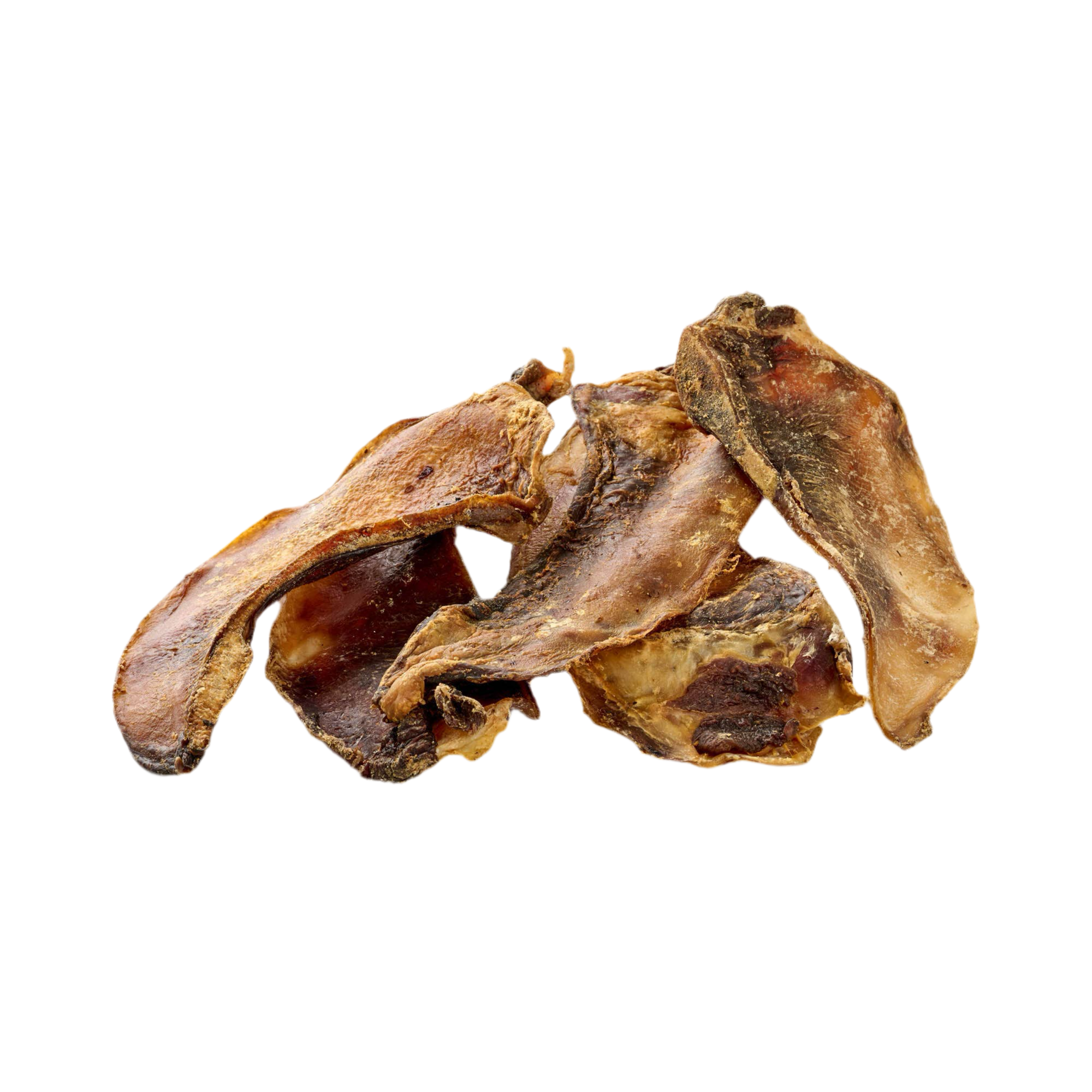 Scapula de boeuf maxi