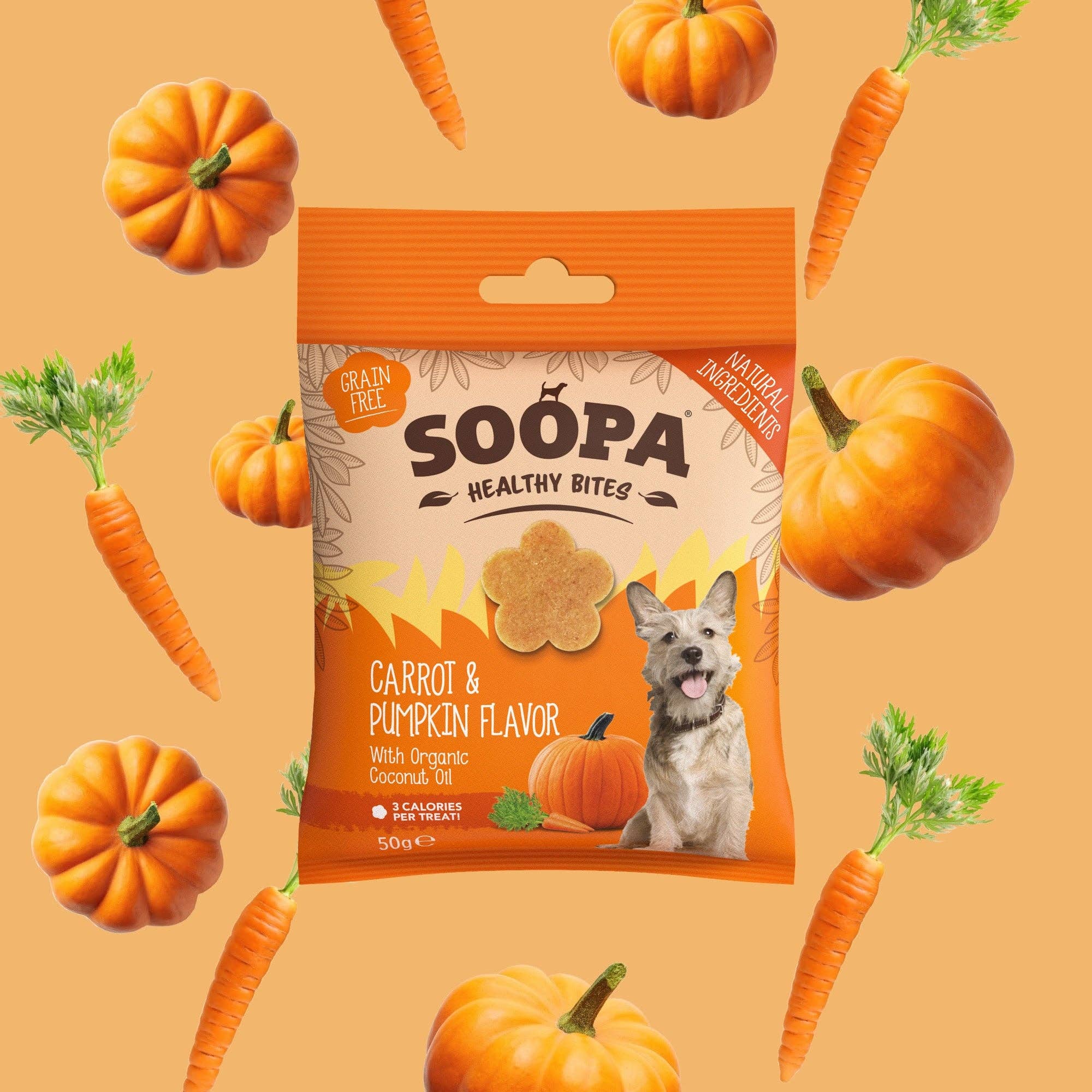 Friandises pour chiens aux carottes et à la citrouille