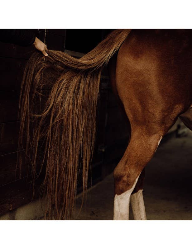 Soin Démêlant naturel pour chevaux - 500 ML