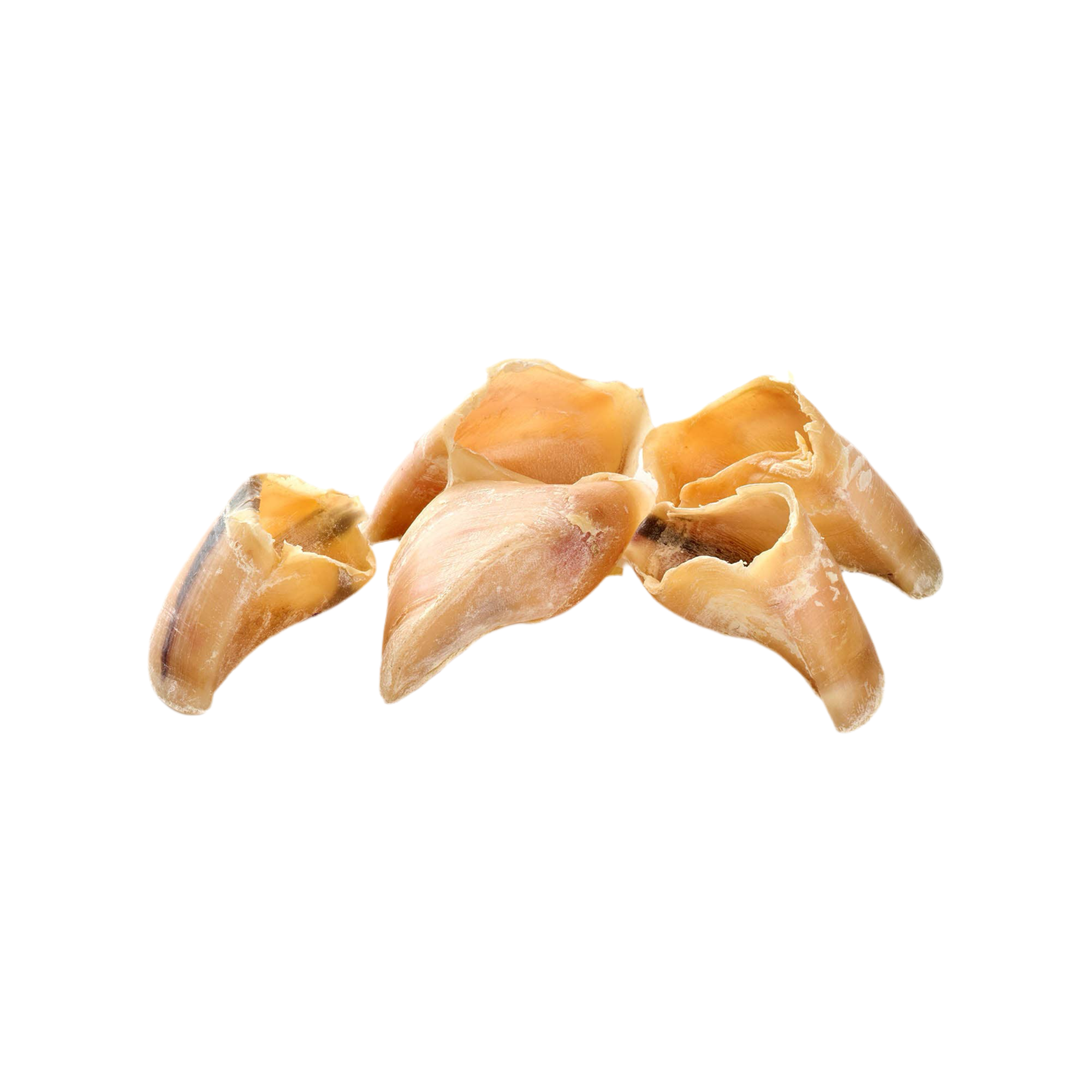 Sabots de veau - par 5 Kauartikel.com GmbH