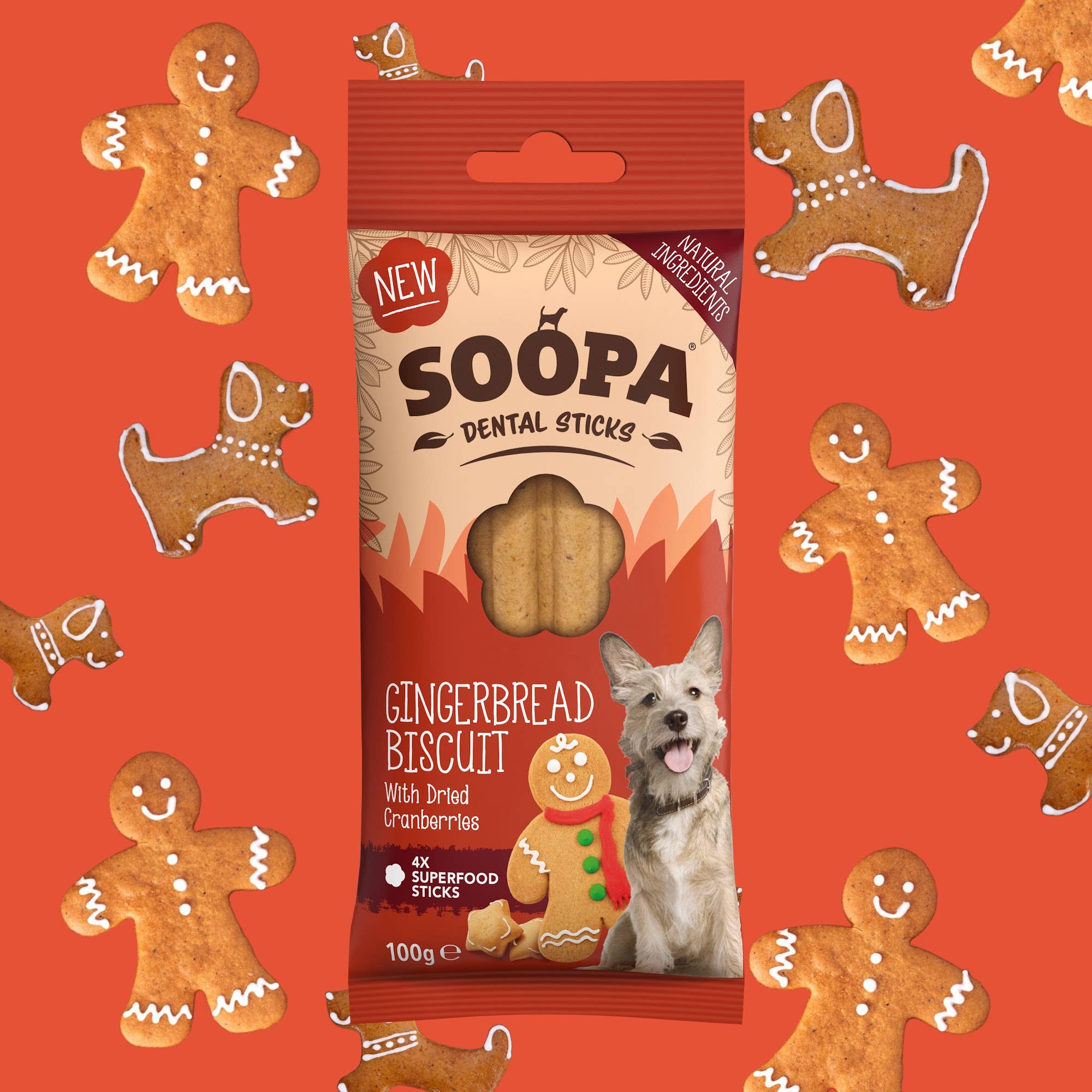 Bâtonnets dentaires pour chiens Gingerbread Biscuit