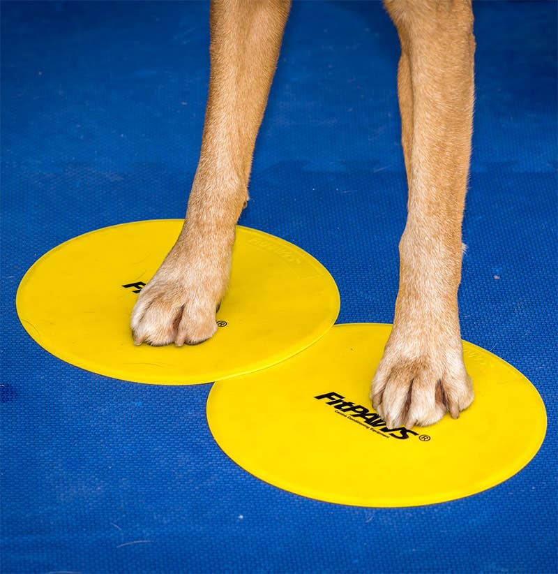 Cibles : Objectifs FitPaws®