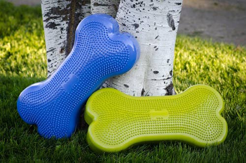 Plateforme d'entraînement CanineGym® K9FitBone Balance — Vert