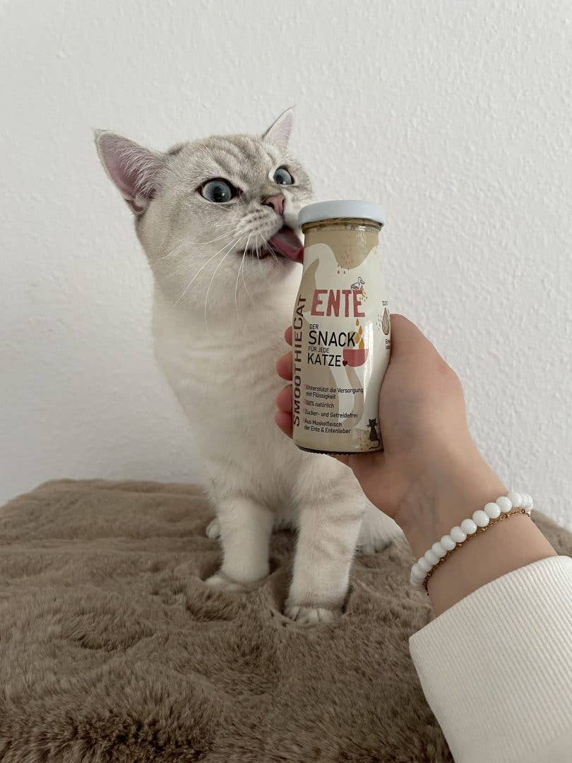 Smoothie pour chat au canard