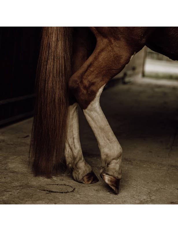 Soin Démêlant naturel pour chevaux - 500 ML