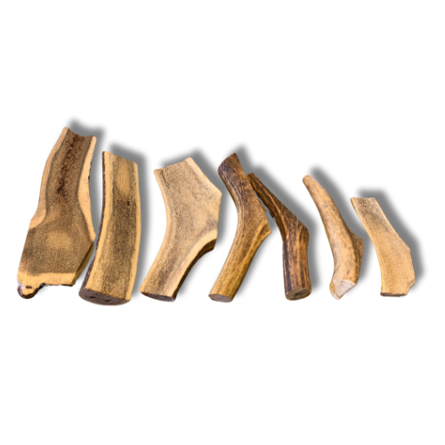 BOIS DE CERF XL - Mastication très longue