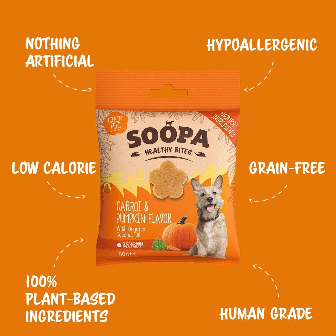 Friandises pour chiens aux carottes et à la citrouille