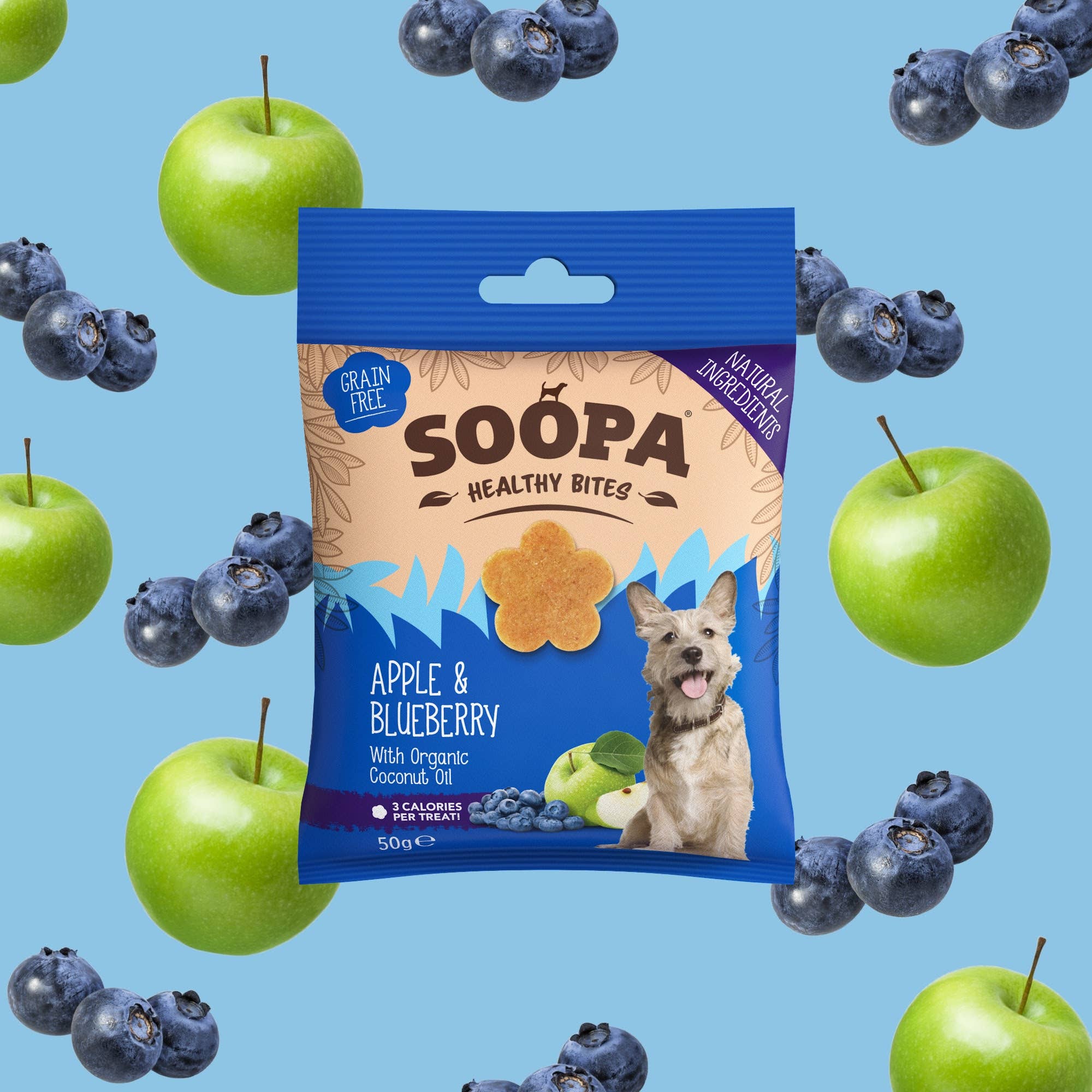 Friandises pour chiens aux pommes et aux bleuets