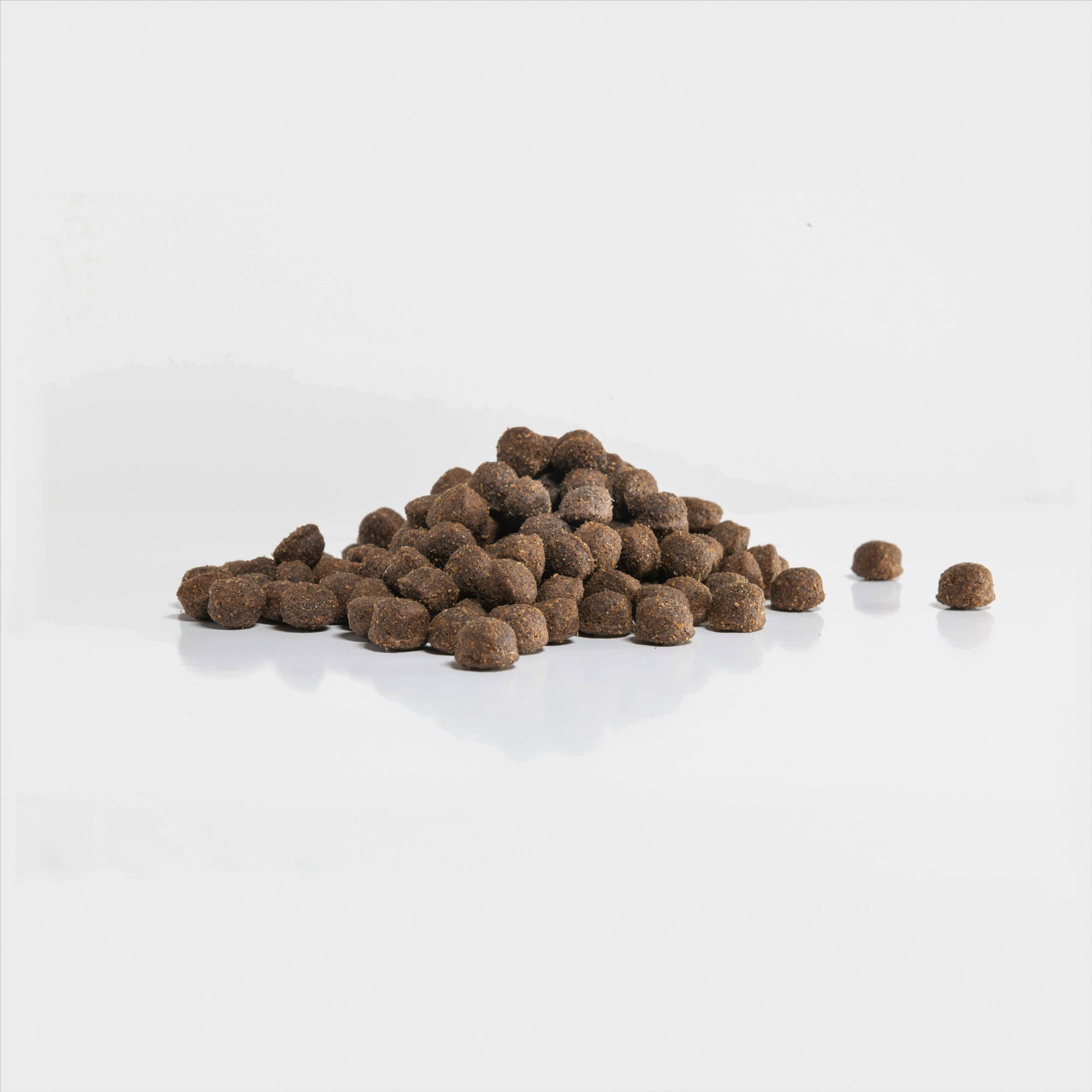 Croquettes Amykus Original Lamb & Rice - Nourriture à base d'agneau pour chiens