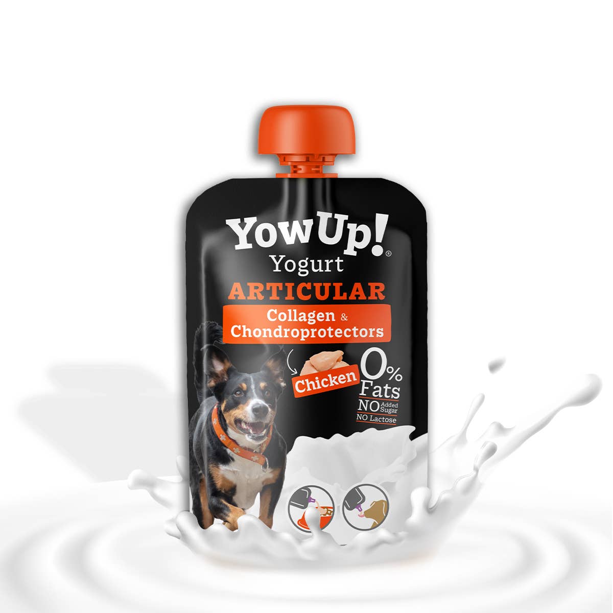 Yaourt Articular pour chiens  - sans lactose