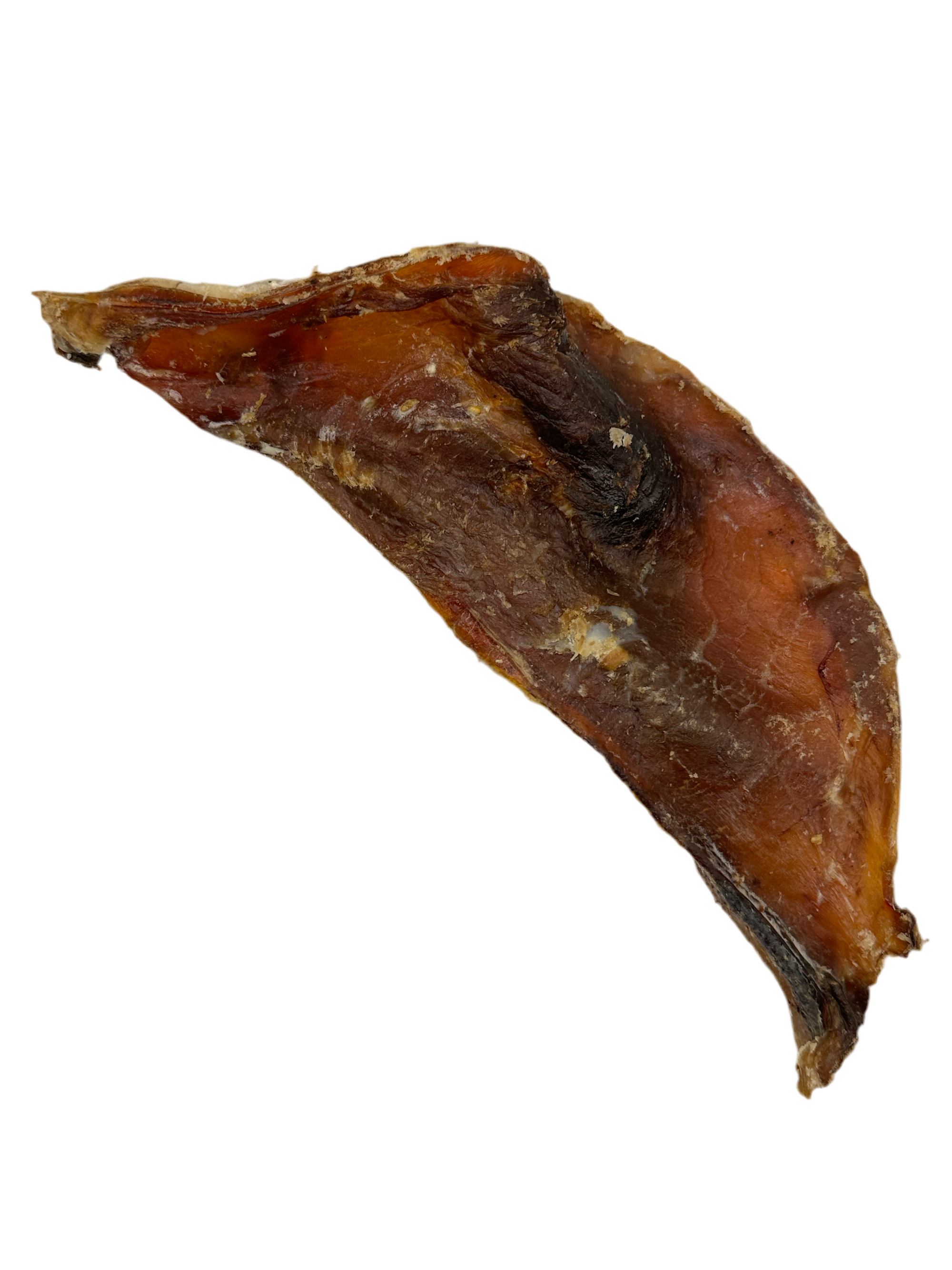 Scapula de boeuf maxi