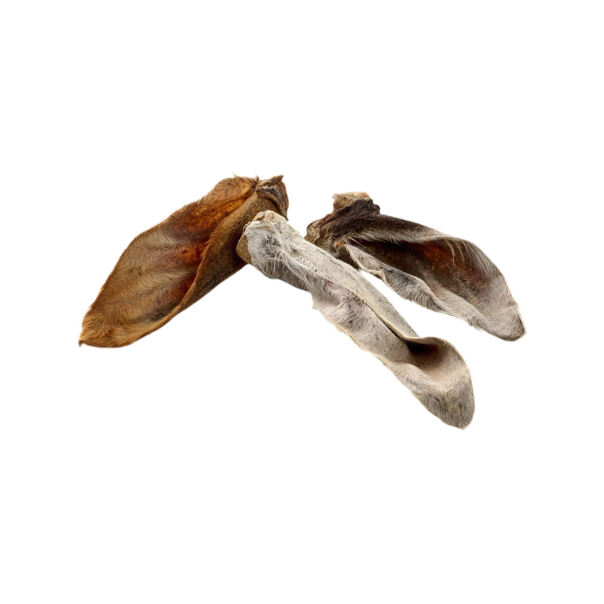 Oreilles de veau avec poils - 3 pièces