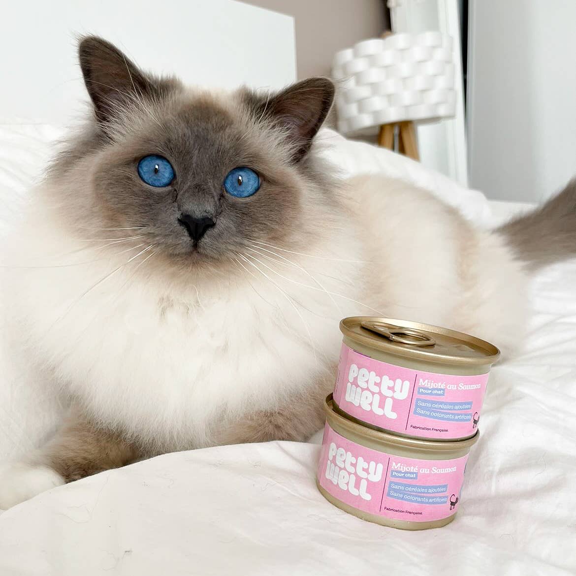 Pâtée pour chat - Saumon - 80g