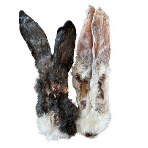 Oreille de lapin - 100g