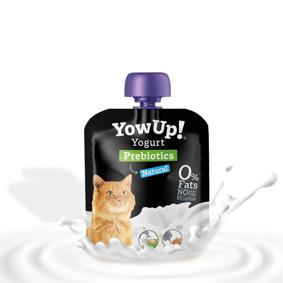 Yaourt naturel pour chats - sans lactose