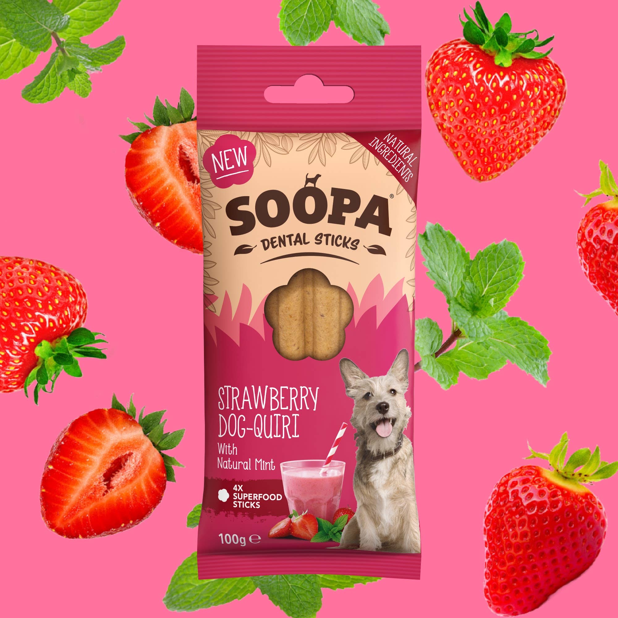 Bâtonnets Dentaires pour Chiens Saveur Fraise