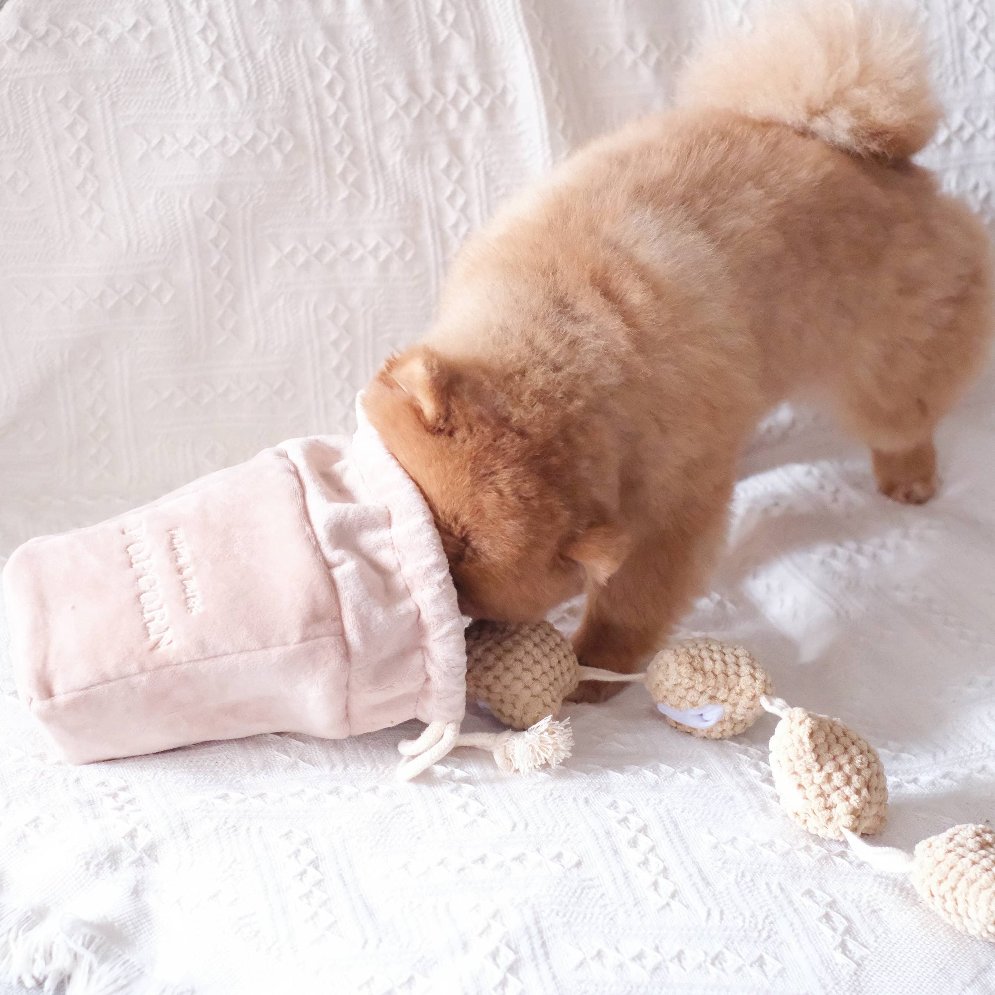 Popcorn - Peluche de fouille