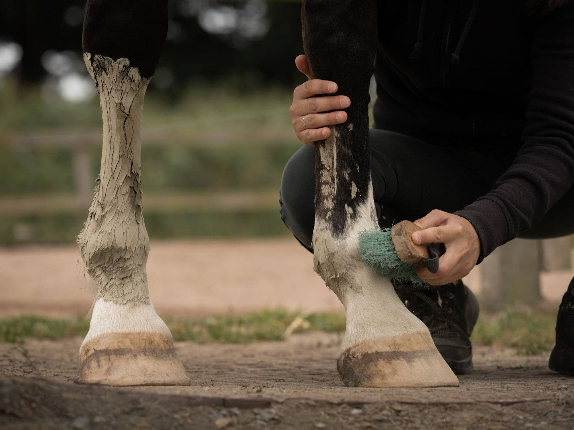 Argile pour chevaux - Drainage & Détox - 1,5KG
